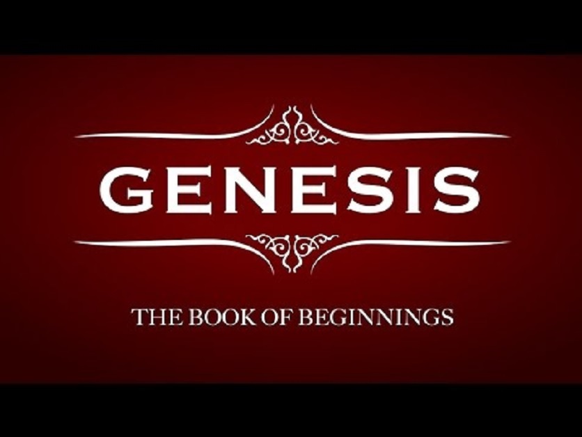 January Book: Genesis | Tolle Lege Bible Book Club | Nelson Avenue